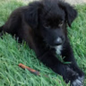 Meet your Posher, Meagan